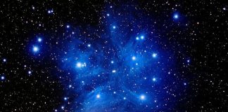 Les Pléiadiens : Le Leader en vous